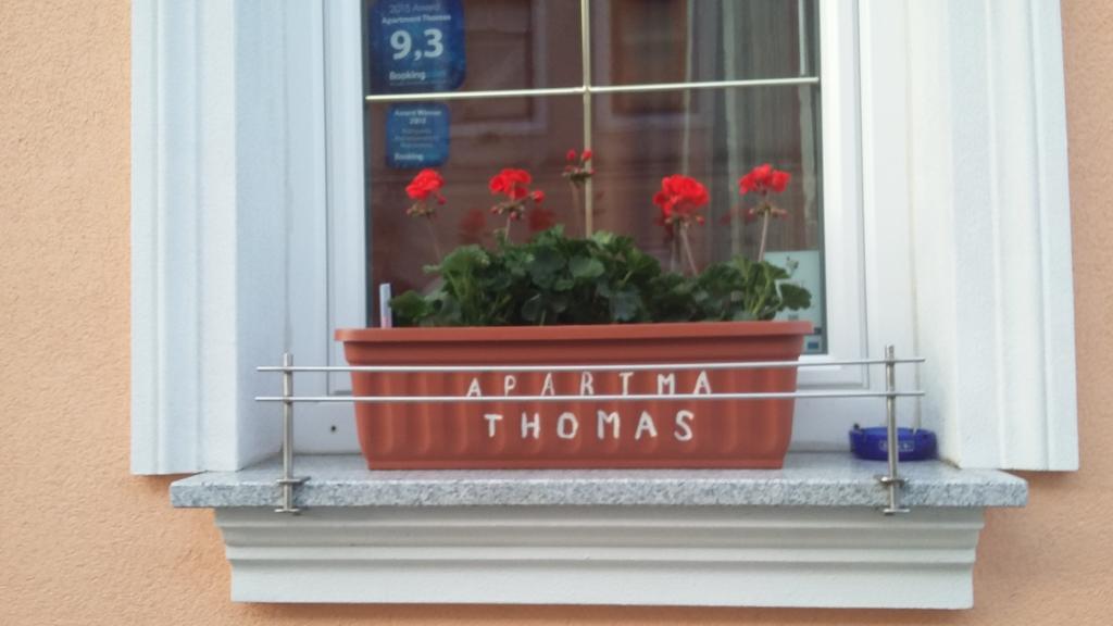 Apartament Thomas Vipava