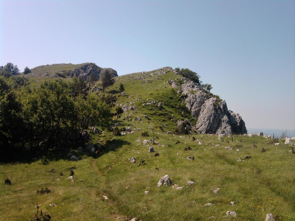 Apartament Thomas *